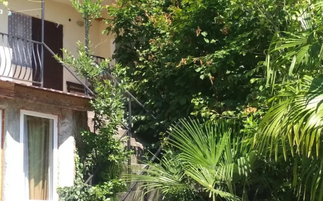 Pod Palmoy Guest House