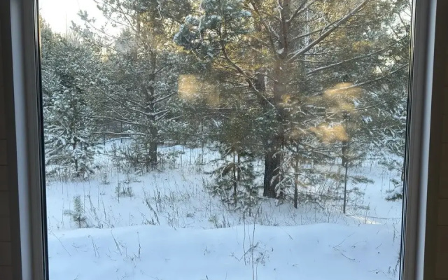 Частный дом в лесу