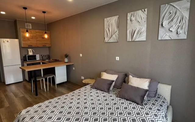 Квартира просторная студия в районе деловой активности в центре