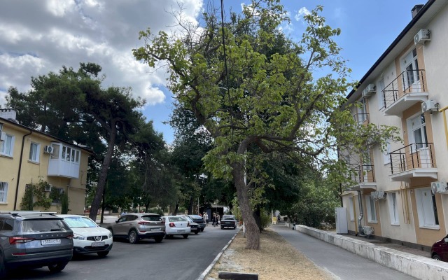 Апартаменты 081 на Мира