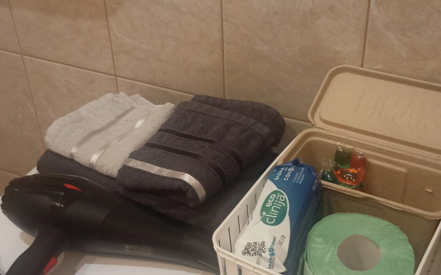 Uyutna studiya v tsentre Zakamska Flat