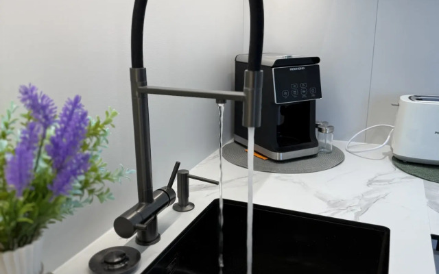 Квартира Люкс Площадь Искусств