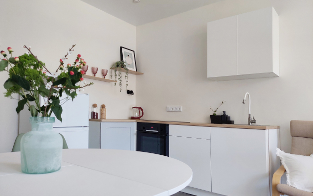 Prostornye s Vidom na Goryi Apartments