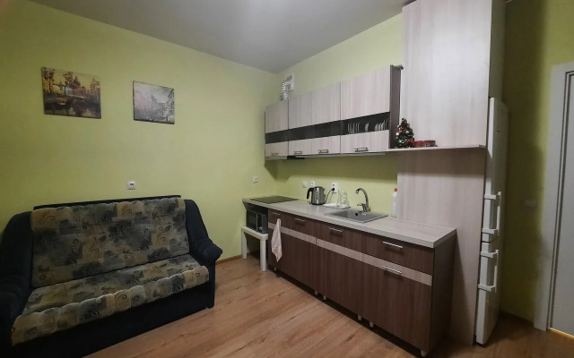 Na Ulitse Fyodora Kotanova Flat