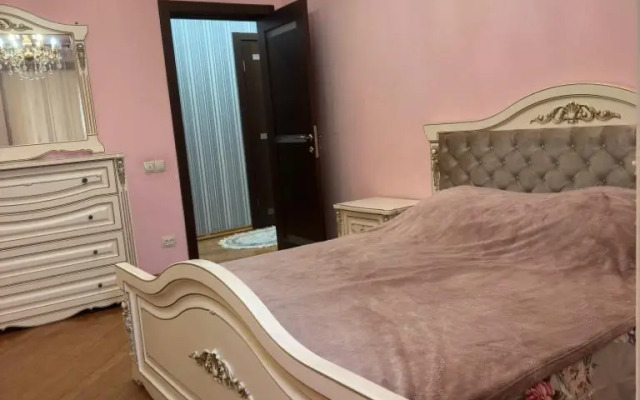 Апартаменты на улице Пушкина 43