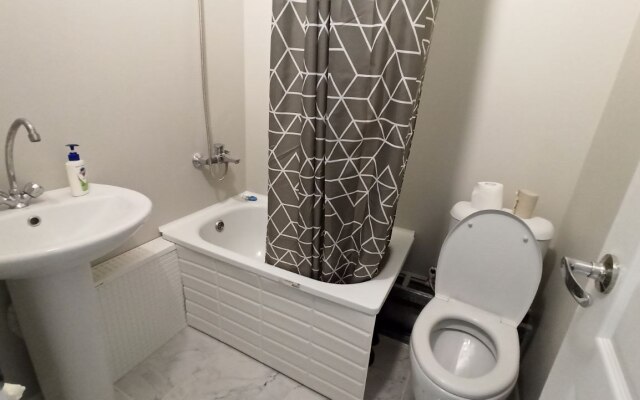 1-Komnatnaya V Tsentre Na Kujbysheva 60 Flat