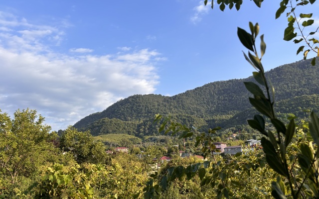 Private House Agava