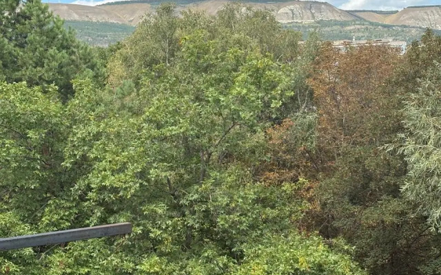 Квартира Уютная