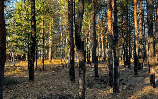 ПриродаРода