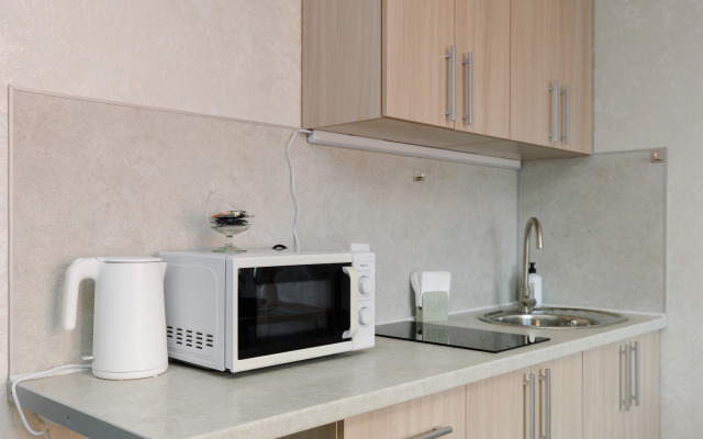 Uyutnaya studiya u Korolevskikh vorot Apartments
