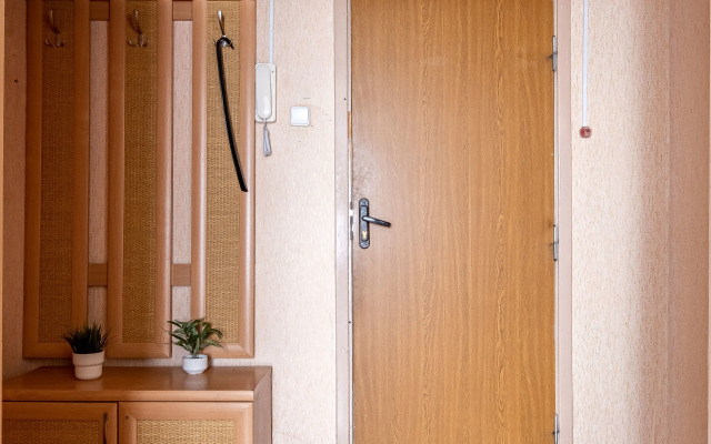 Odnokomnatnaya Komfortnaya Flat
