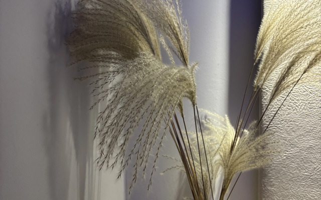 Квартира Квартира -студия однокомнатная