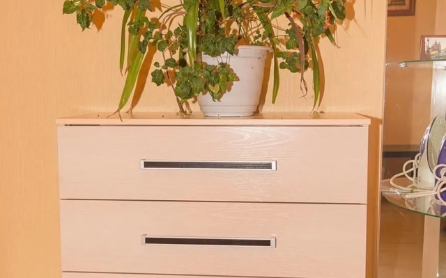 Апартаменты на улице Елизаровых 52