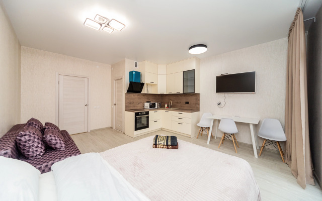 Uyutnaya Studiya V Novom Dome U Zhd Vokzala Apartments