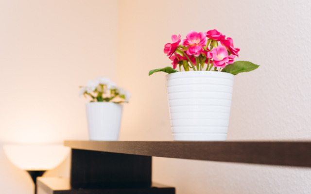 Апартаменты на Шейнкмана