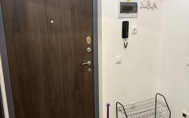 Квартира Однокомнатная квартира рядом с Пулково и Expoforum!