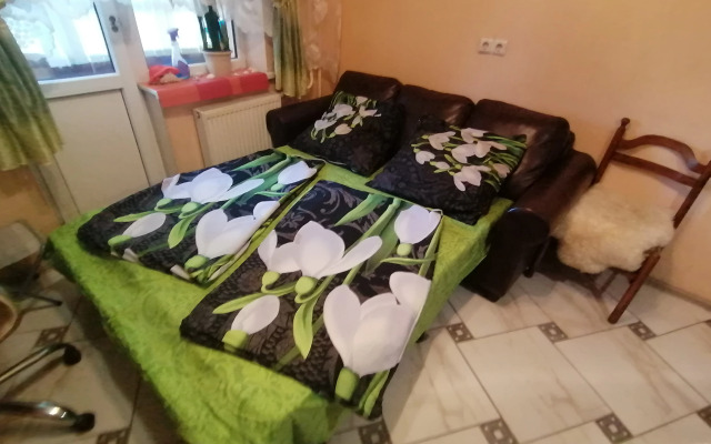 Domashnie Apartment
