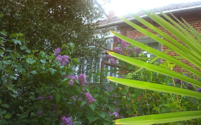Granat Garden Guest House