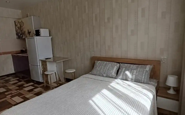 Studiya v Shelekhove Flat
