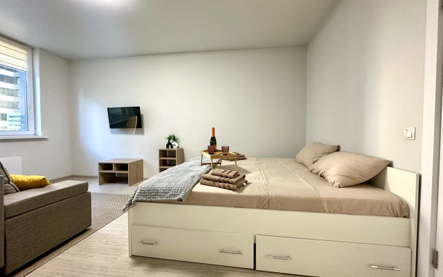 S Dizaynerskim Remontom Flat