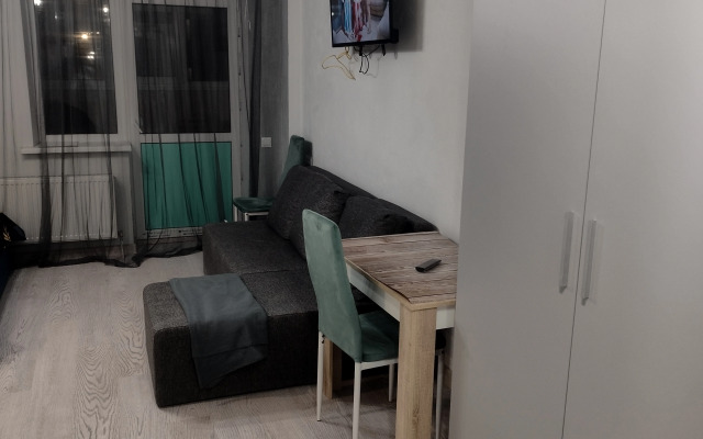 V Tsentre Goroda Flat