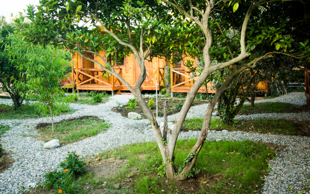 Teremki Recreation Camp