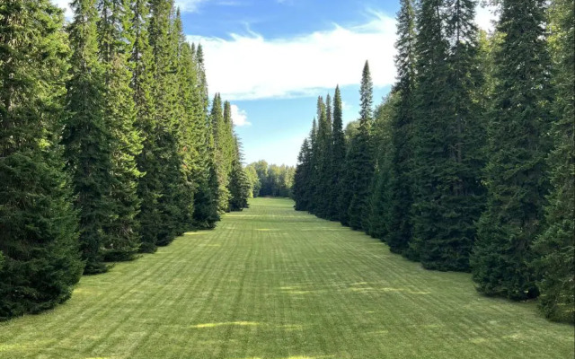 Апартаменты Душевная Студия - Мансарда в Центре Ломоносова