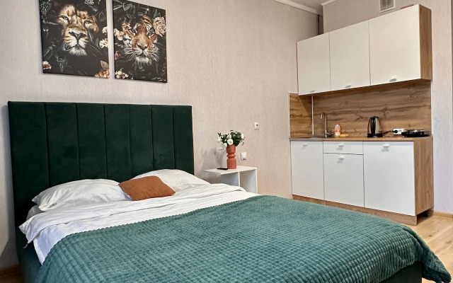 Studiya okolo Art Kholla i Tochmash Apartments
