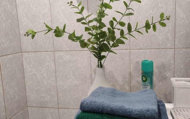 Апартаменты Татьянин Дом для 8 гостей на берегу Амура