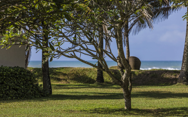 The Frangipani Tree by Edwards Collection Villa