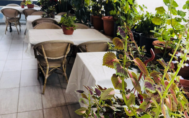 Renova Old City Hotel