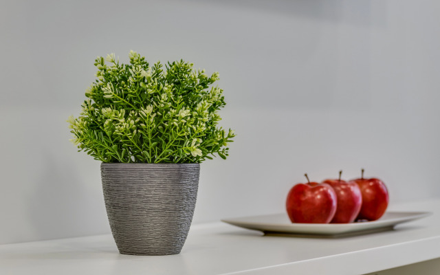 Апартаменты Студия с видом на Триумф Палас