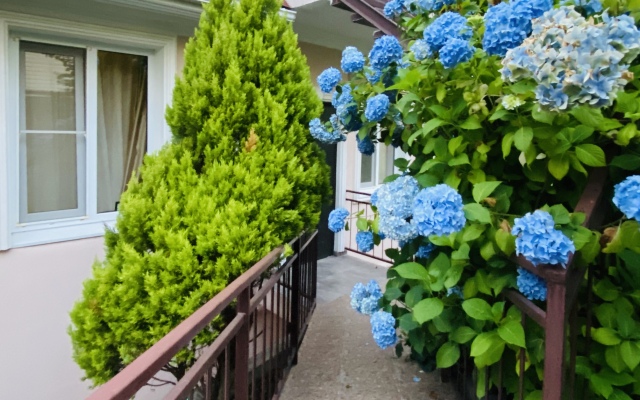 Uyutny Loo Guest House