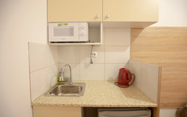 Апартаменты Студия Владимирский