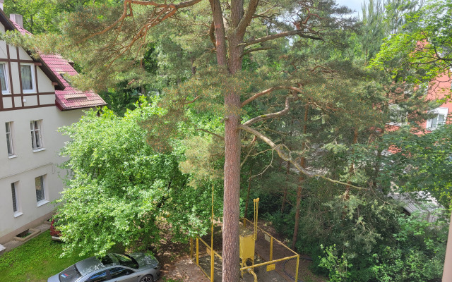 Квартира Уютная Светлая