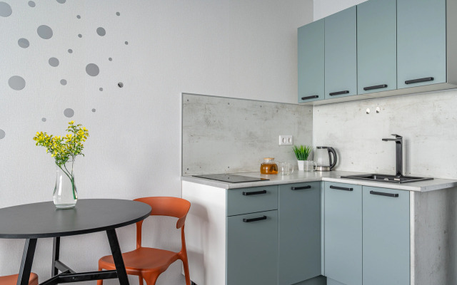 Studiya S Vidom Na Gory Lyzhnikov 3 Flat