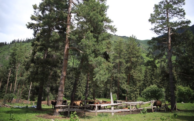 Guest house Zhyluu Suu