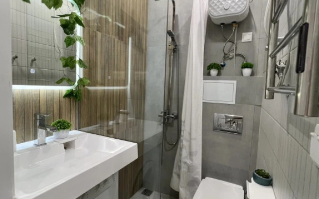 Апартаменты Stepanenkov на Воеводина 4 (3)