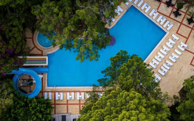 Festival Nature Hotel
