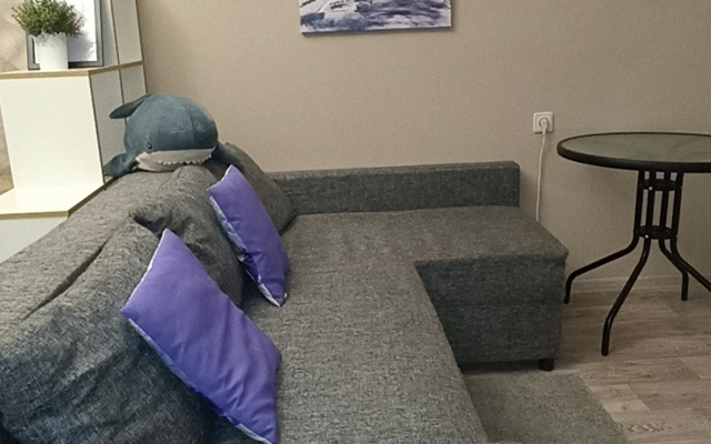 Апартаменты Zvezdnaya