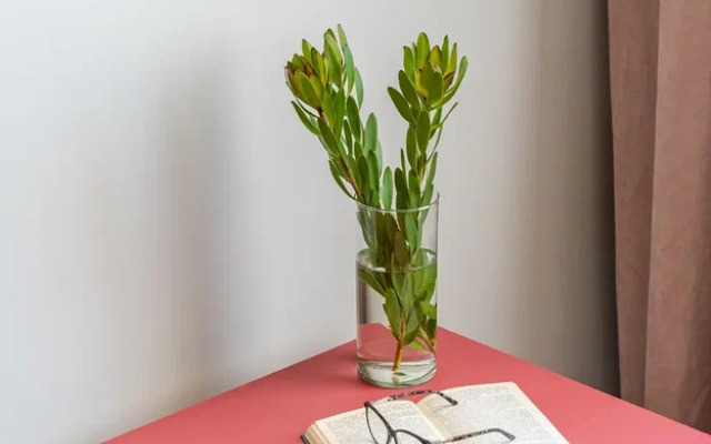 Апартаменты Доходный Дом Малого Мраморного Дворца