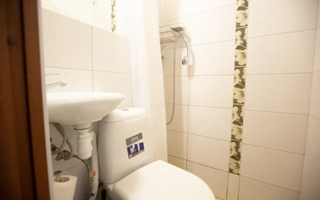 Апартаменты Студия Владимирский