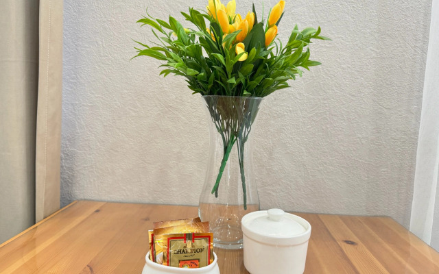 Elitnaya Studiya v Tsentre Goroda Flat