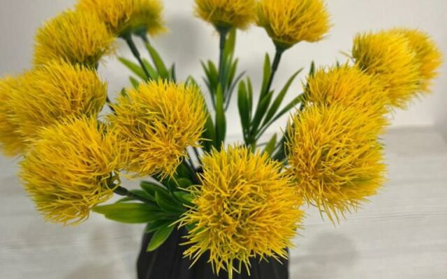 Апартаменты 1-комнатные с видом на Волгу (Бухта)