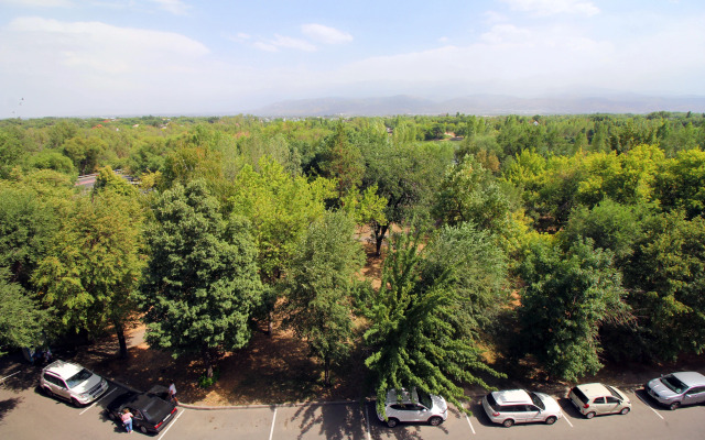294 Raduzhny Bereg Flat