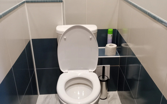 Апартаменты Просторные апартаменты на Новосибирской