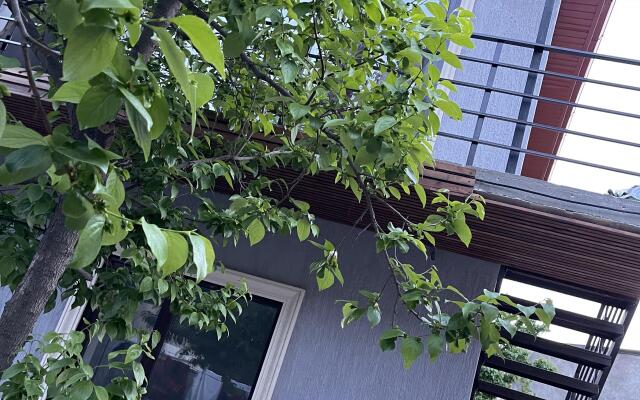 U Morya na Gabieva Guest House