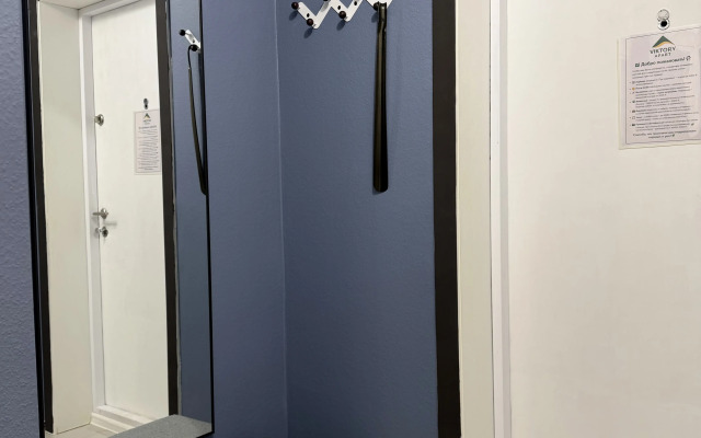 Квартира Viktory Apart