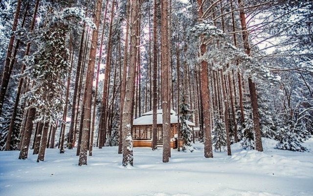 Загородный отель Дивный Мир Хижина 3***