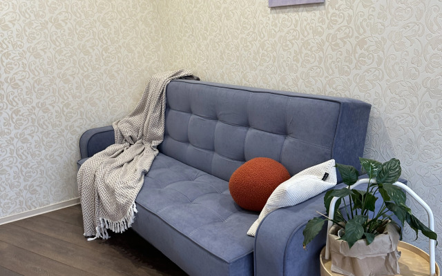 Апартаменты Спелая Клюква в центре 45м